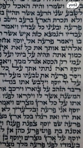 ספר תורה חדש