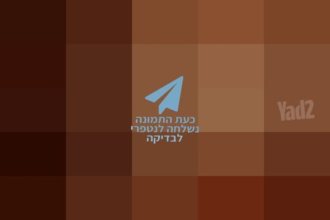 גיטרה