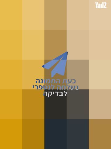 גיטרה