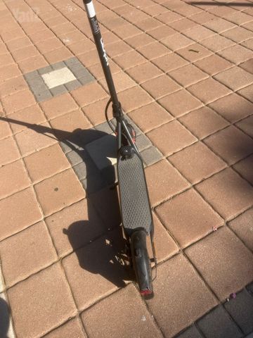 קורקינט לקסון