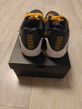 Nike Kobe 8 Protro