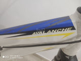 GT avalanche medium