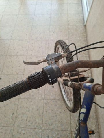 אופניים