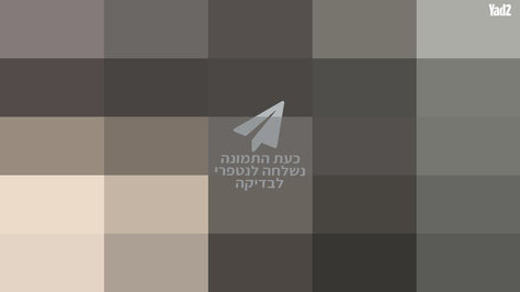 ספות ענק