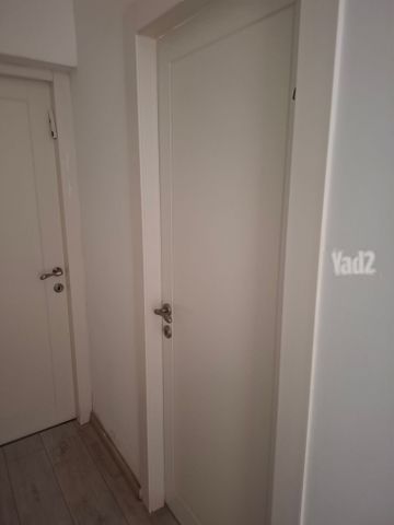 דלתות פנים