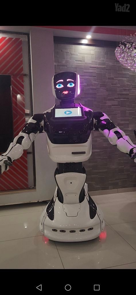 robot