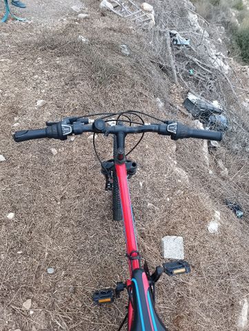 אופני winner