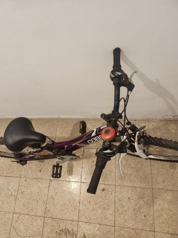 אופנים 24'