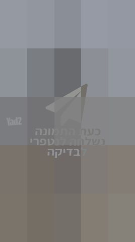 נרגילה