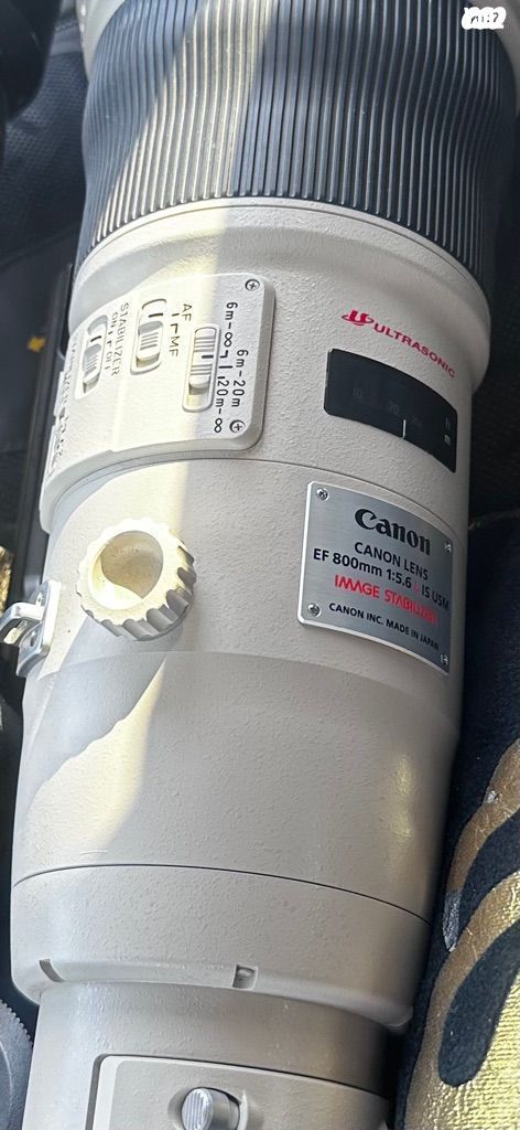 Canon 800 mm 5.6 ef