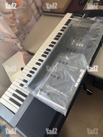 אורגן מזרחי