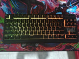 Apex 3 TKL-Razer Huntsman Mini