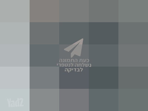 כינור The rose R35 MB 4/4