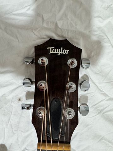 Taylor GS Mini Mahogany
