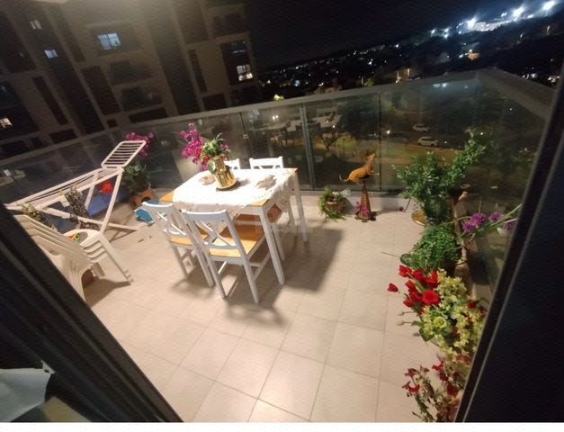 מיטה