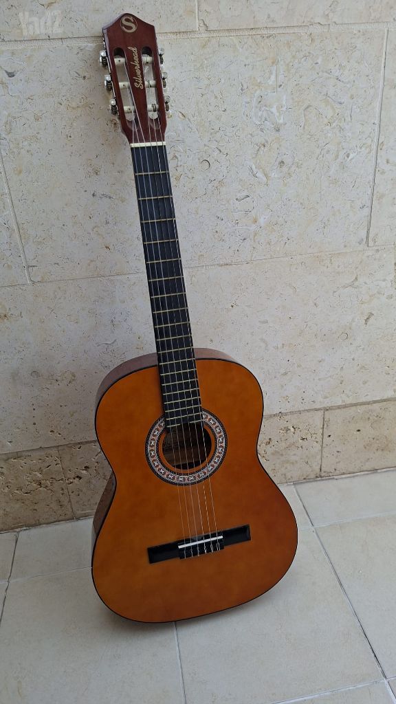 גיטרה