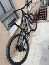 אופני הרים  Rainbow falcon
