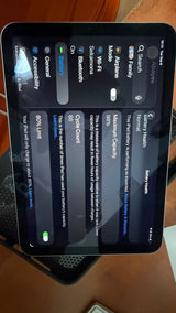 iPad