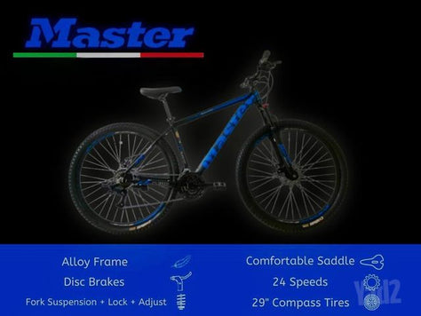 MASTER 29