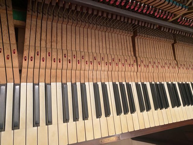 STEINWAY
