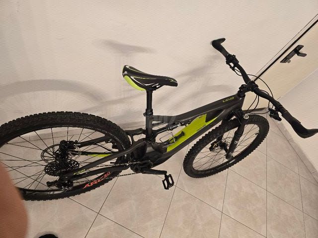 Specialized