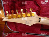 Steve Vai "PIA" signature