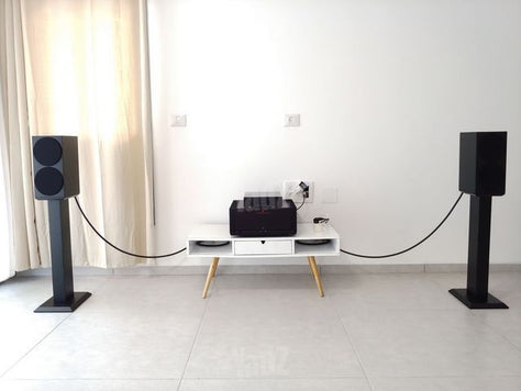 Buchardt S400 + Stands