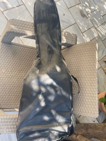 Pearl River GST10