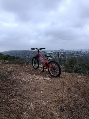 אופני winner