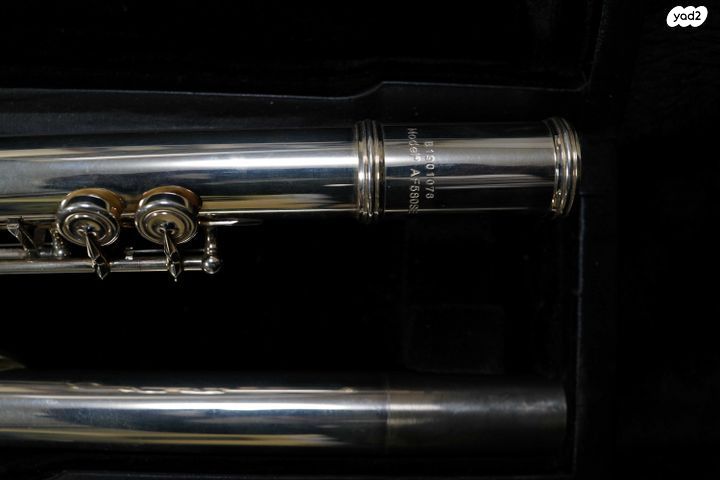 חליל צד Haynes Amadeus