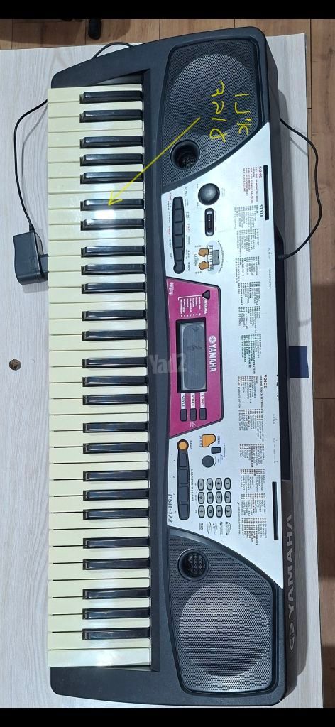 אורגנית    YAMAHA. PSR172
