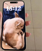 אייפון 15 פלוס