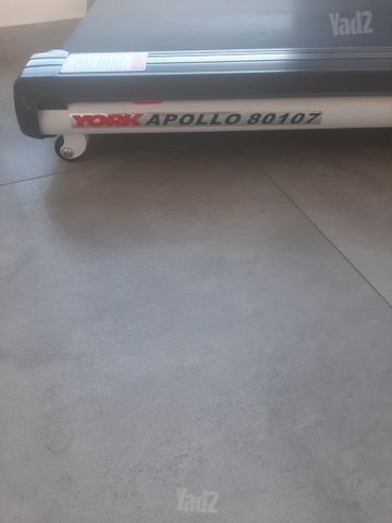 אליכון ספורט