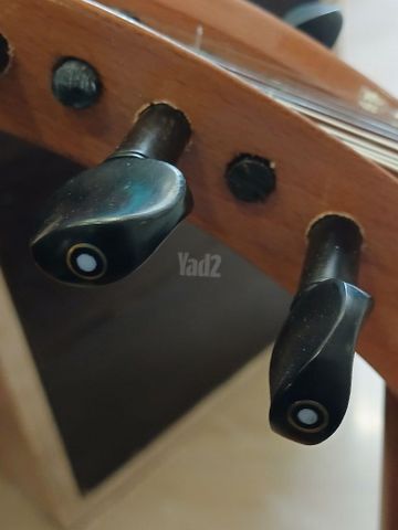 עוד מצרי