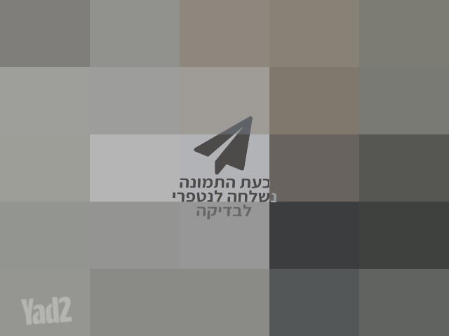 שואב שוטף ROBOROCK F25 RT