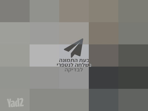 שואב שוטף ROBOROCK F25 RT