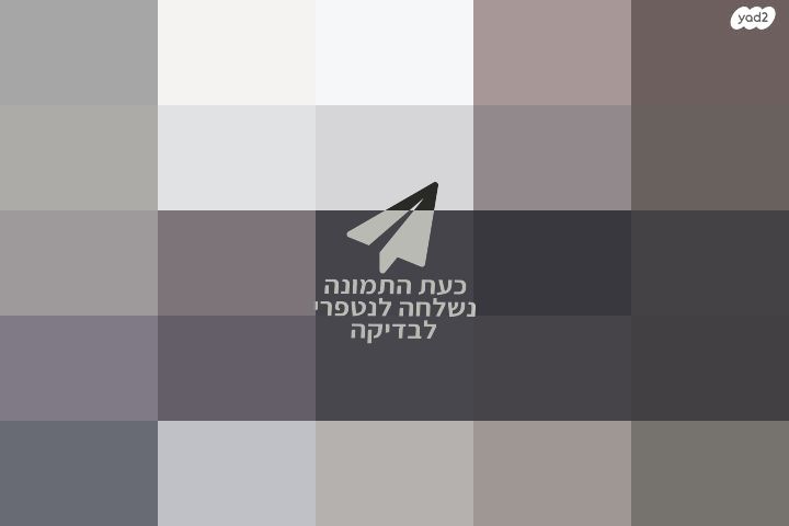 מיטת נסיכות