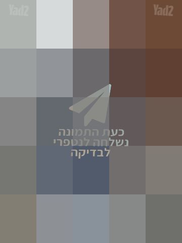 עגלת Bogaboo bee 5