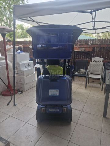 קלנועית