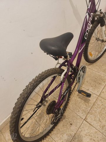 אופנים 24'