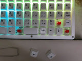 מקלדת 73 Ortholiniar
