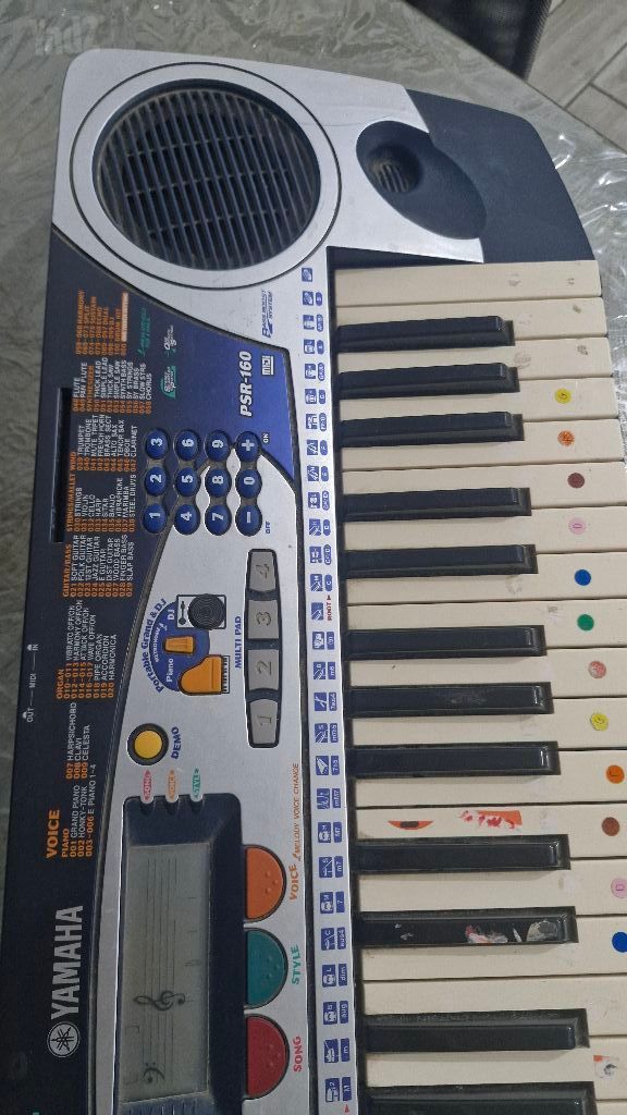 אורגן
