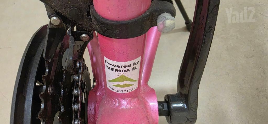 אופני בנות 24"