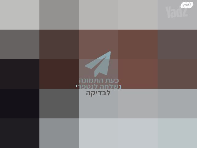כינור