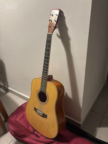 גיטרה אקוסטית sx
