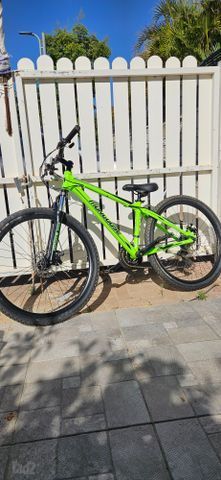 אפניים Mongoose