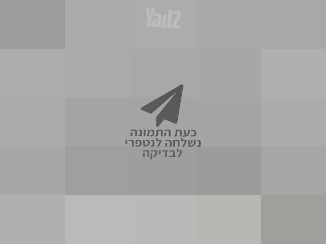 מגילת אסתר