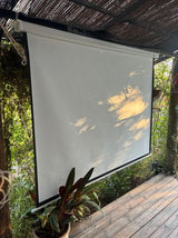 מקרן מקצועי Optoma