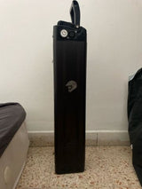 Silverfish 48V.  20Ahm