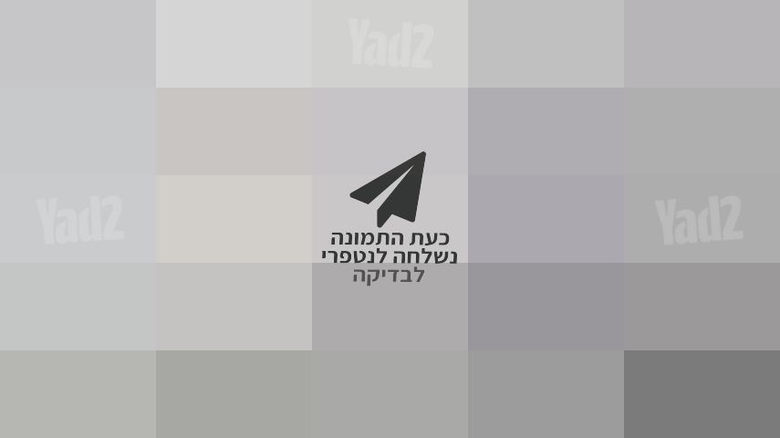 קלרינט בופה E12 חדש באריזה